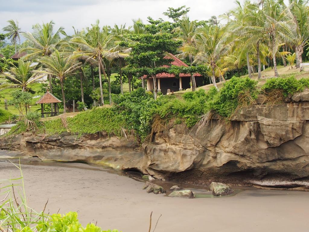 Gajah Mina Beach Resort Selemadeg  Kültér fotó