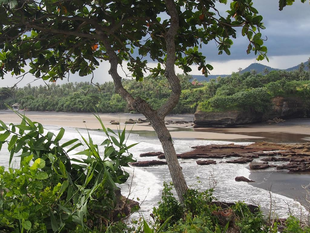Gajah Mina Beach Resort Selemadeg  Kültér fotó