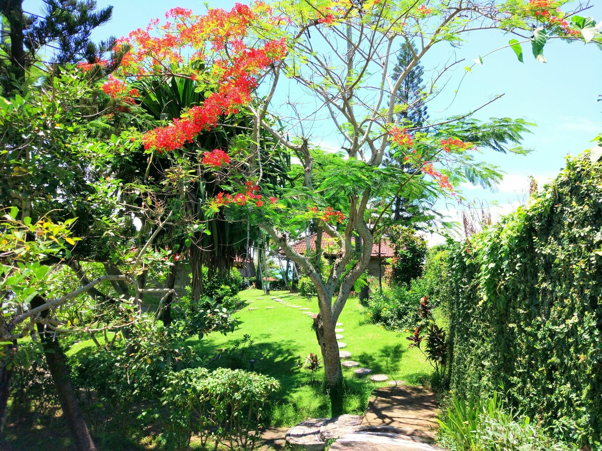 Gajah Mina Beach Resort Selemadeg  Kültér fotó