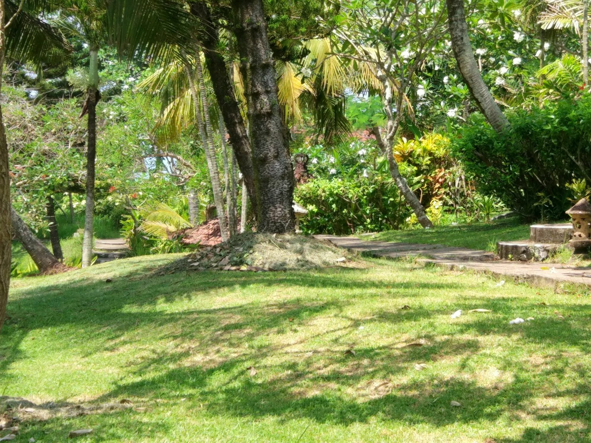 Gajah Mina Beach Resort Selemadeg  Kültér fotó