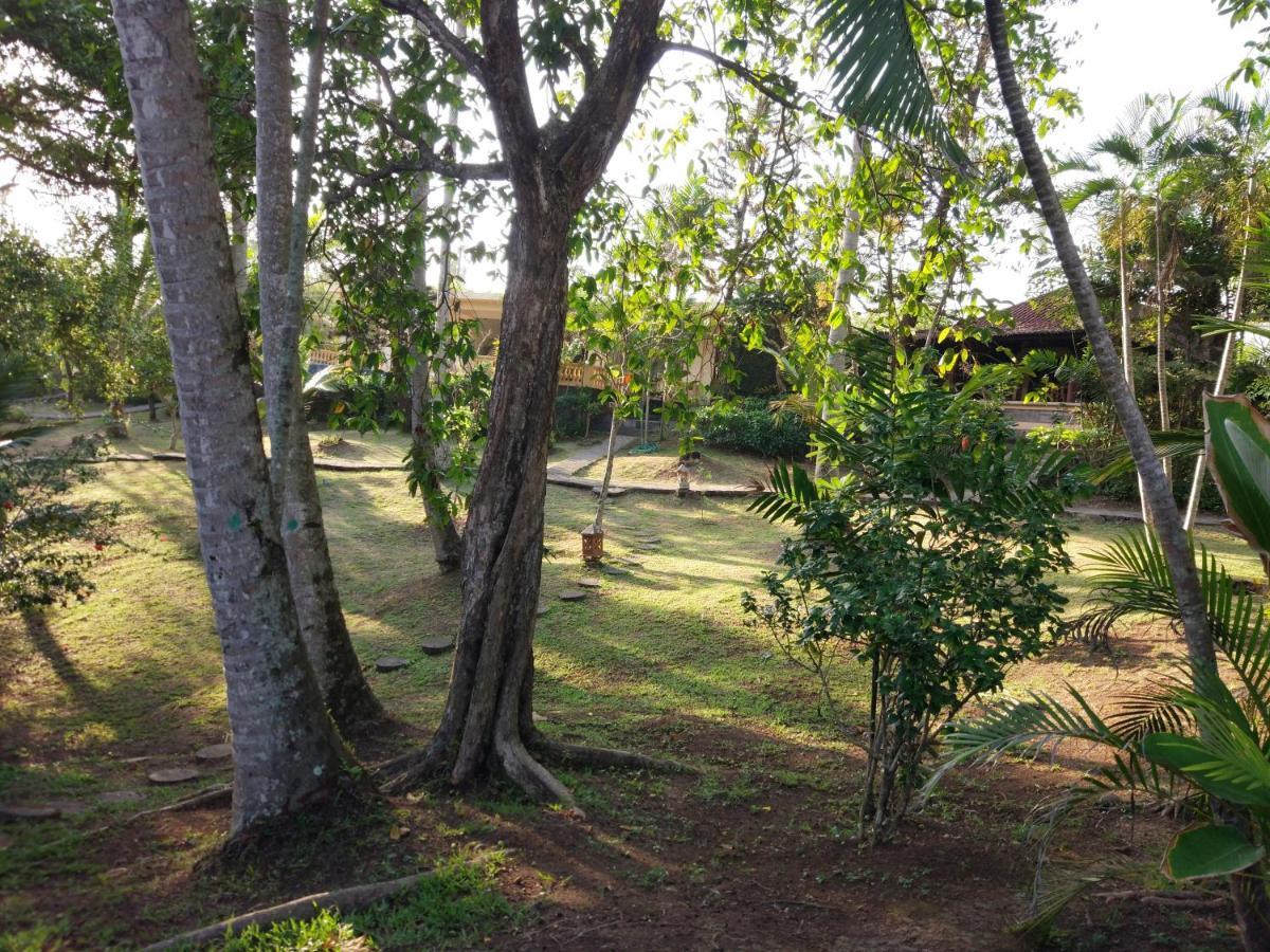 Gajah Mina Beach Resort Selemadeg  Kültér fotó